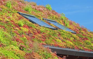 Lower Kingcombe living roof systems