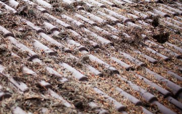 Lower Kingcombe roof cleaning companies