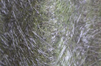 Lower Kingcombe fibreglass roof work